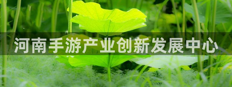 巅峰国际app：河南手游产业创新发展中心