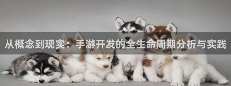 巅峰国际注册：从概念到现实：手游开发的全生命周期分析与实践