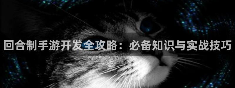 巅峰国际官网：回合制手游开发全攻略：必备知识与实战技巧