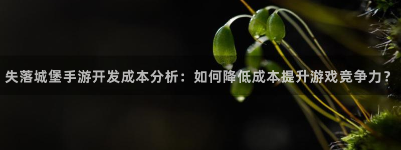 巅峰国际app：失落城堡手游开发成本分析：如何降低成本提升游
