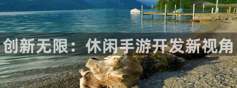 巅峰国际：创新无限：休闲手游开发新视角