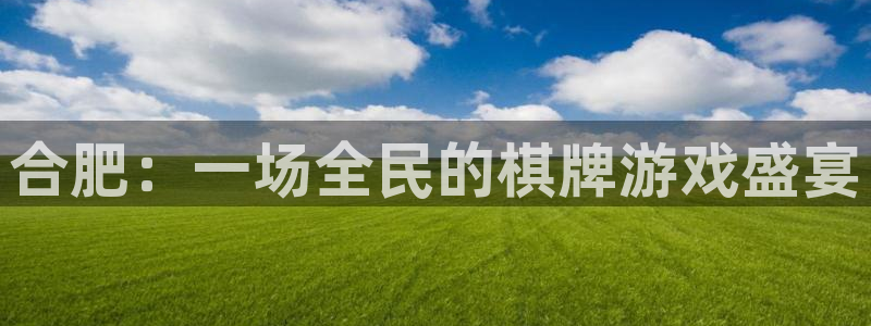 巅峰国际平台：合肥：一场全民的棋牌游戏盛宴