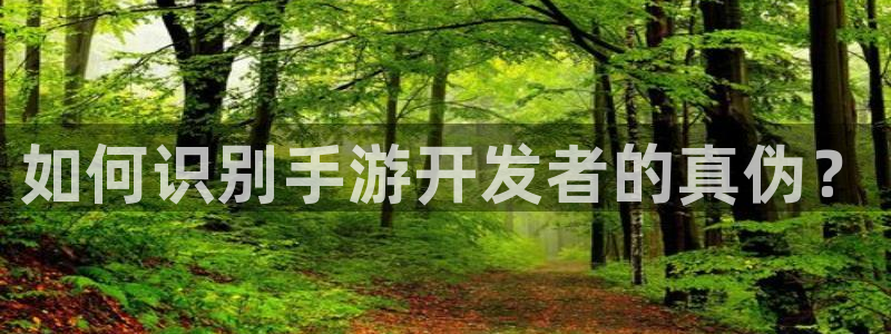 巅峰国际登陆：如何识别手游开发者的真伪？