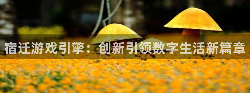 巅峰国际下载：宿迁游戏引擎：创新引领数字生活新篇章
