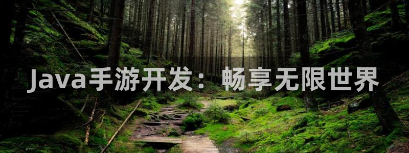 巅峰国际首页：Java手游开发：畅享无限世界