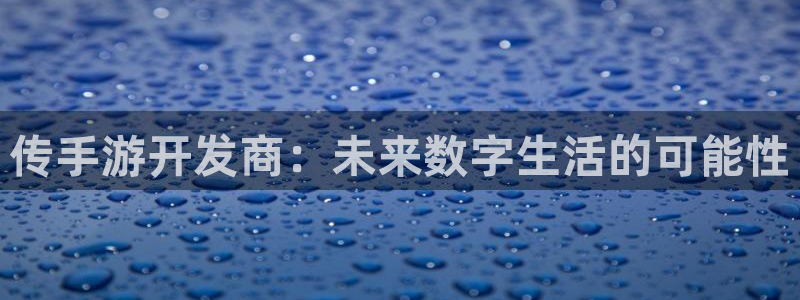 巅峰国际官网：传手游开发商：未来数字生活的可能性