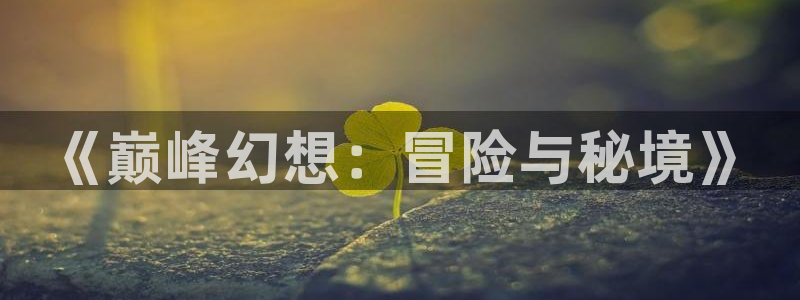 巅峰国际登录：《巅峰幻想：冒险与秘境》