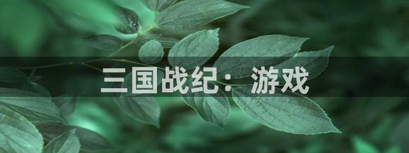 巅峰国际：三国战纪：游戏