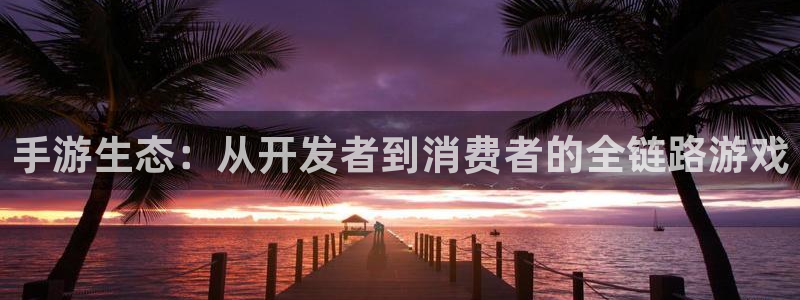 巅峰国际首页：手游生态：从开发者到消费者的全链路游戏