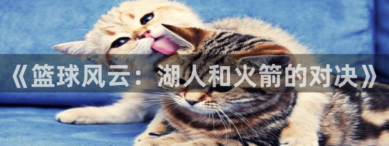 888看球nba直播视频在线直播：《篮球风云：湖人和火箭的对决》