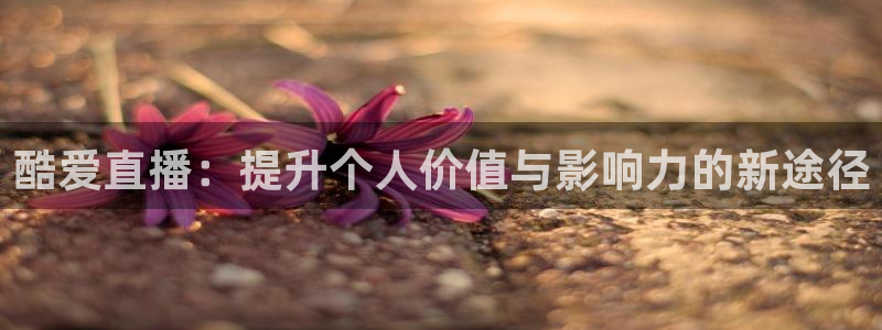 88看球直播 在线观看：酷爱直播：提升个人价值与影响力的新途径