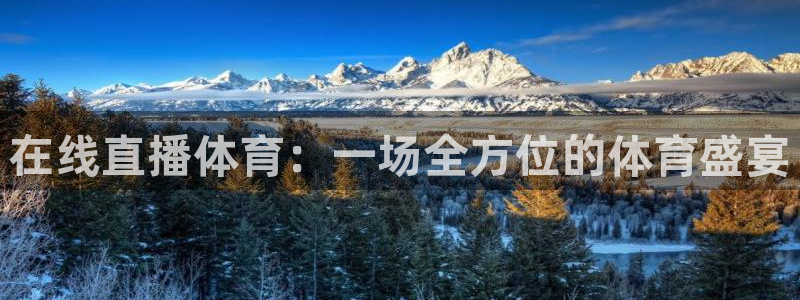 88看球免费直播：在线直播体育：一场全方位的体育盛宴